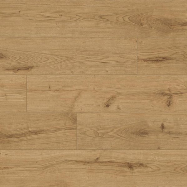 Oak Severina