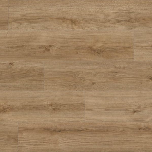 Oak Evoke Trend