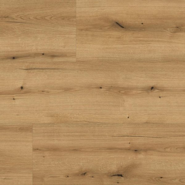 Oak Evoke Coast