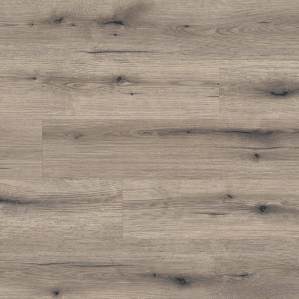 Oak Evoke Solano